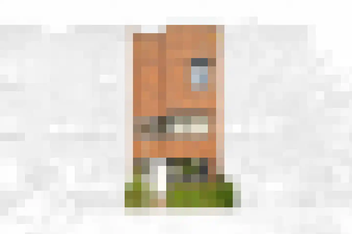 Juttepeer 22 Den Hoorn thumbnail 7