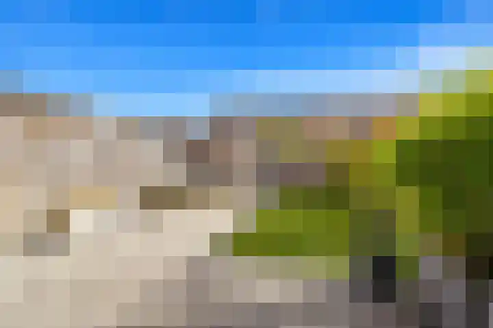 Juttepeer 30 Den Hoorn thumbnail 13