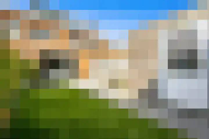 Juttepeer 30 Den Hoorn thumbnail 14