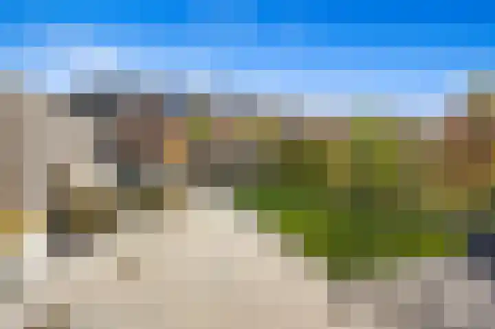 Juttepeer 30 Den Hoorn thumbnail 15