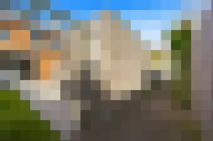 Juttepeer 30 Den Hoorn thumbnail 16