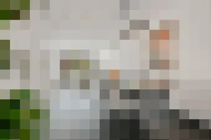 Juttepeer 30 Den Hoorn thumbnail 19