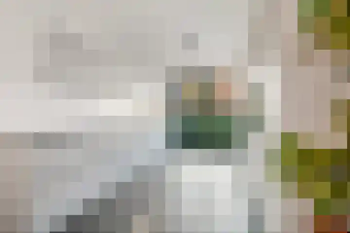 Juttepeer 30 Den Hoorn thumbnail 22