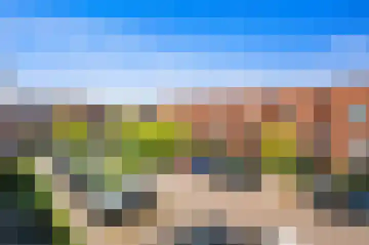 Juttepeer 30 Den Hoorn thumbnail 31