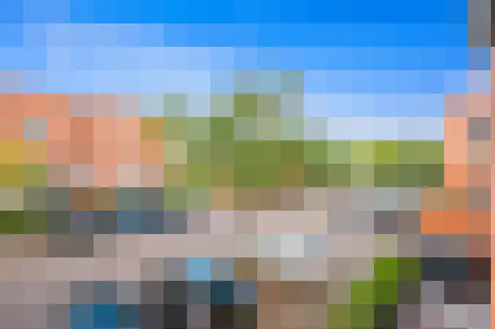 Juttepeer 30 Den Hoorn thumbnail 32