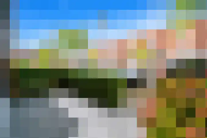 Juttepeer 30 Den Hoorn thumbnail 4