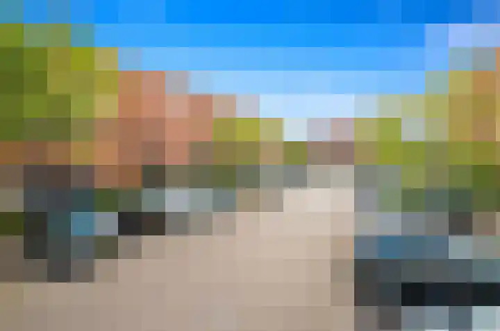 Juttepeer 30 Den Hoorn thumbnail 52
