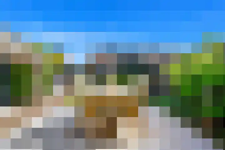 Juttepeer 32 Den Hoorn thumbnail 12