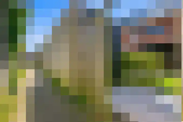 Juttepeer 32 Den Hoorn thumbnail 14