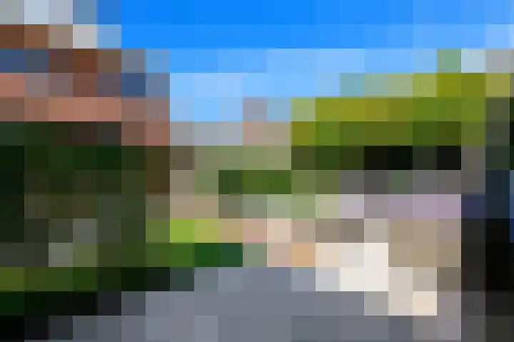 Juttepeer 32 Den Hoorn thumbnail 15