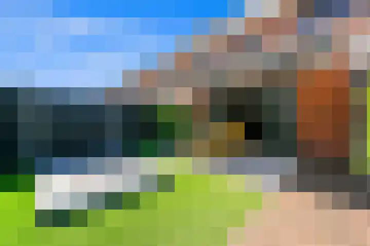 Juttepeer 32 Den Hoorn thumbnail 17