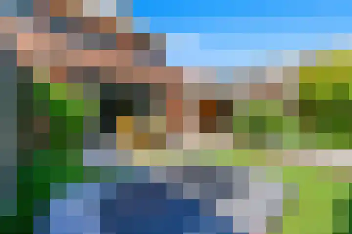 Juttepeer 32 Den Hoorn thumbnail 18