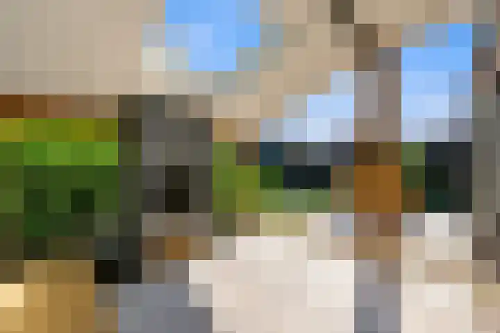 Juttepeer 32 Den Hoorn thumbnail 21