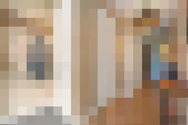 Juttepeer 32 Den Hoorn thumbnail 30