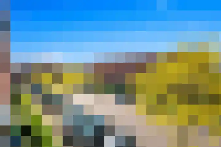 Juttepeer 32 Den Hoorn thumbnail 36
