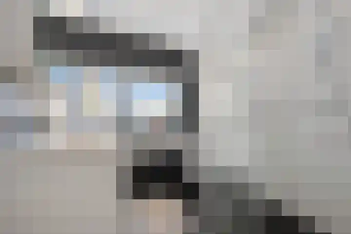 Juttepeer 32 Den Hoorn thumbnail 39