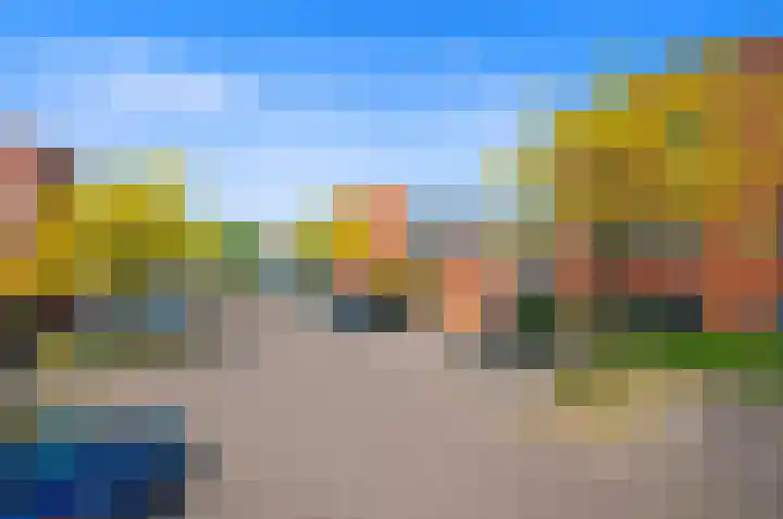 Juttepeer 32 Den Hoorn thumbnail 57