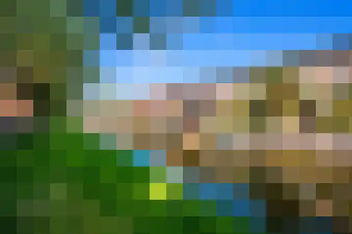 Juttepeer 32 Den Hoorn thumbnail 58