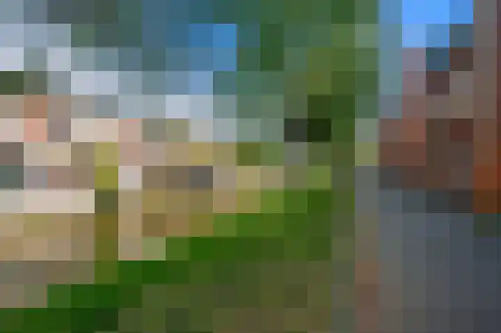 Juttepeer 32 Den Hoorn thumbnail 59