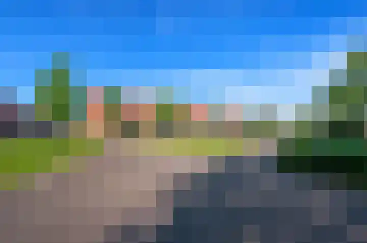 Juttepeer 32 Den Hoorn thumbnail 60