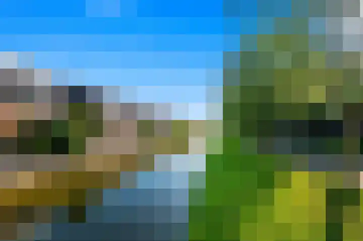 Juttepeer 32 Den Hoorn thumbnail 63