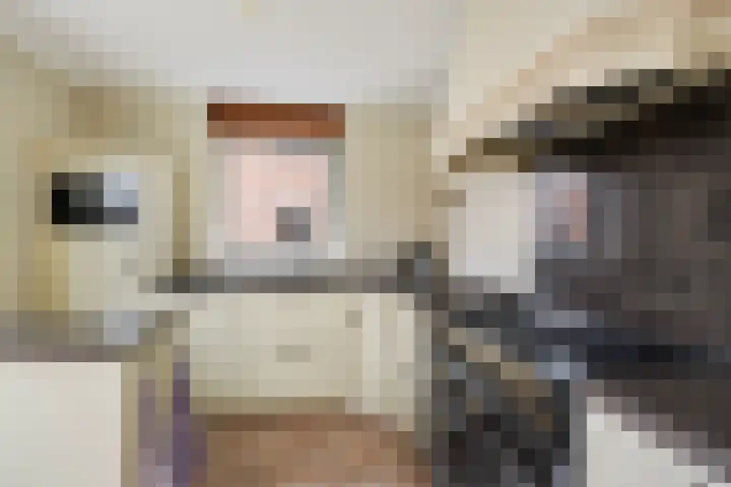 Juttepeer 33 Den Hoorn thumbnail 13