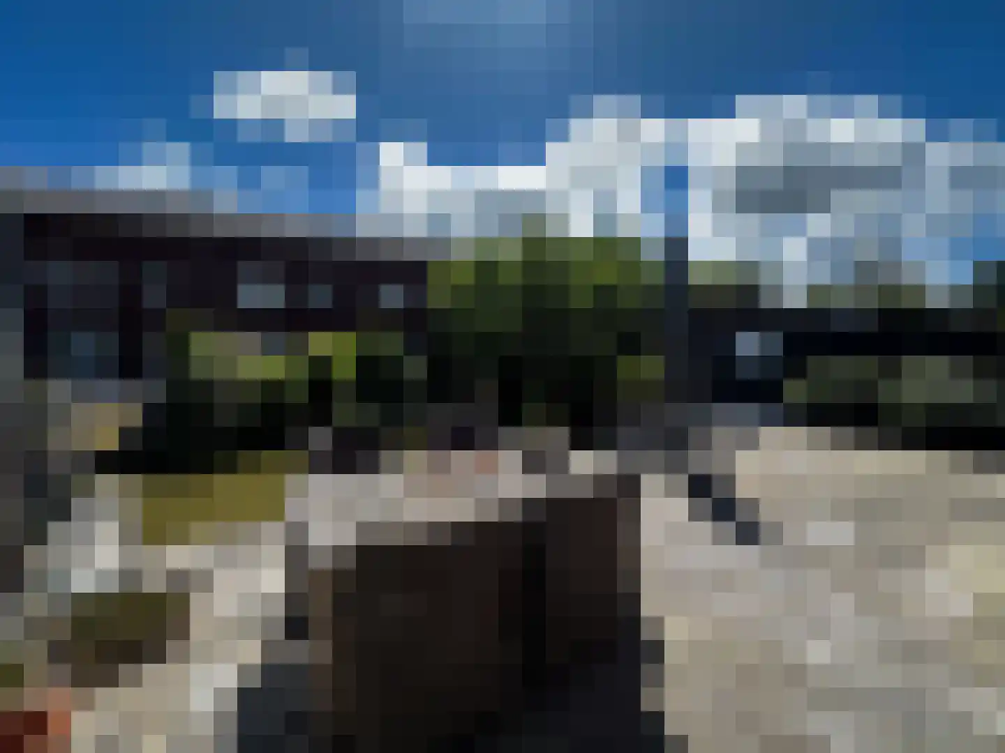 Juttepeer 33 Den Hoorn thumbnail 16