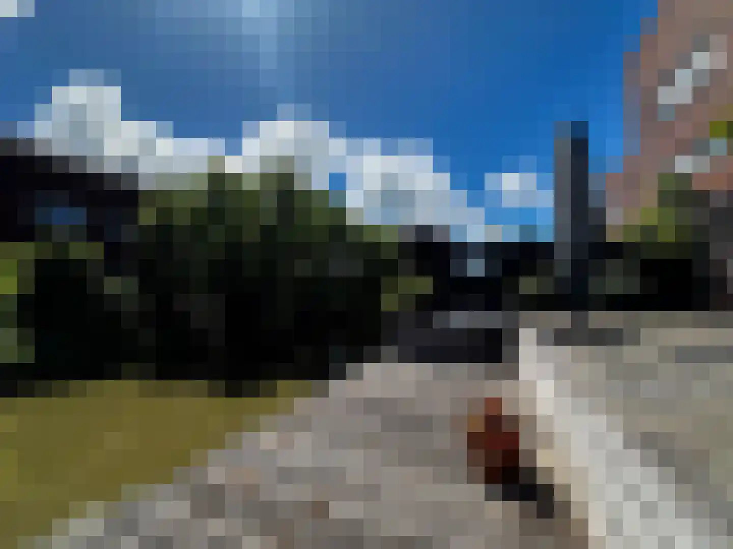 Juttepeer 33 Den Hoorn thumbnail 17