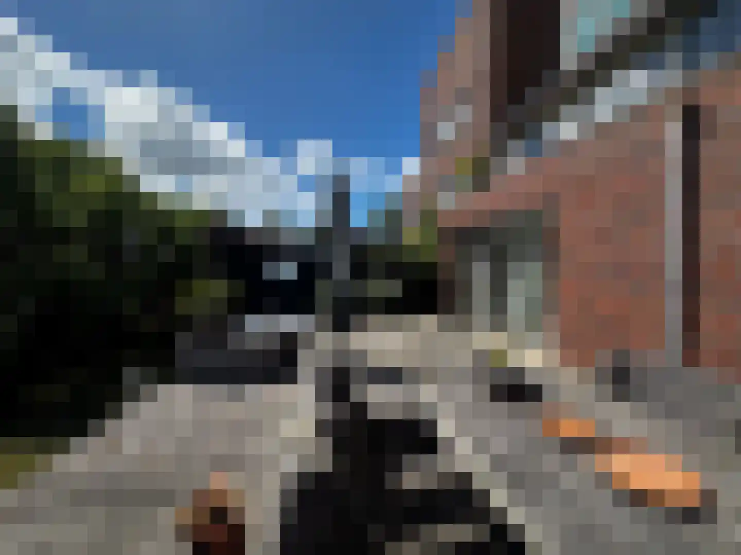Juttepeer 33 Den Hoorn thumbnail 18