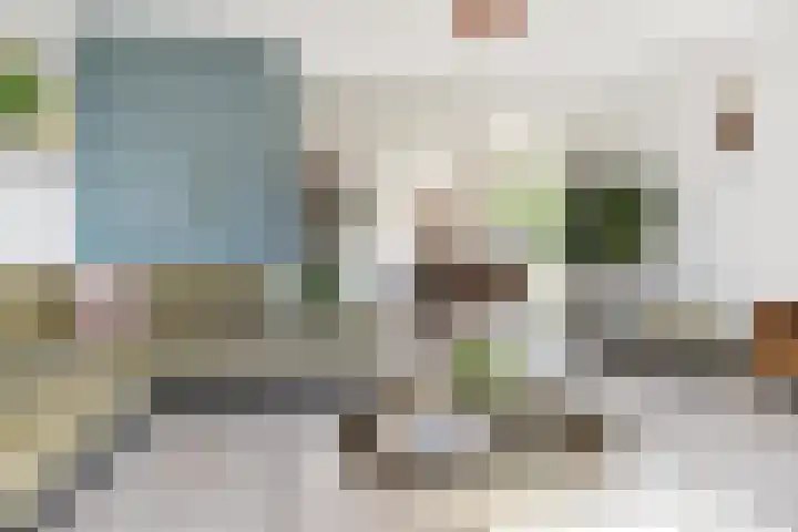 Juttepeer 35 Den Hoorn thumbnail 22