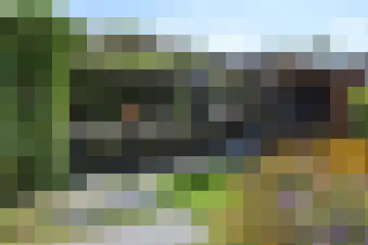Juttepeer 35 Den Hoorn thumbnail 25