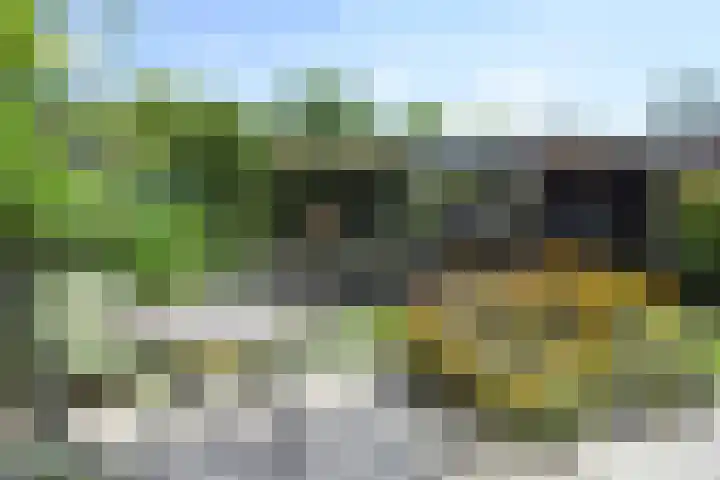 Juttepeer 35 Den Hoorn thumbnail 27