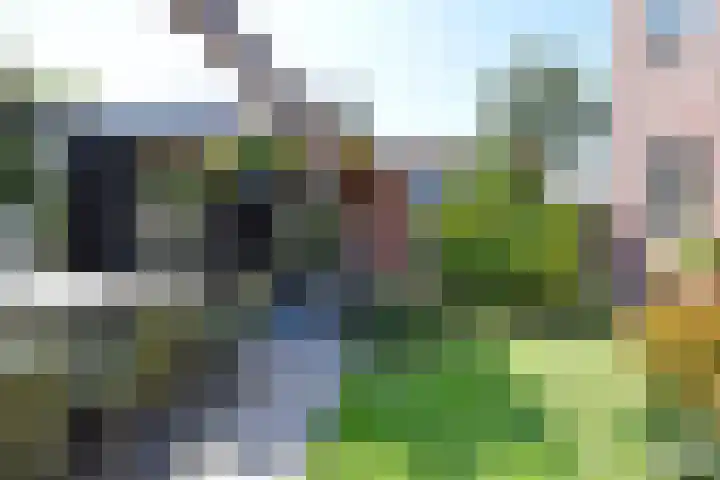 Juttepeer 35 Den Hoorn thumbnail 30