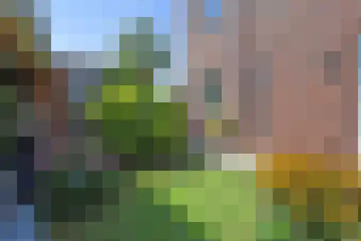 Juttepeer 35 Den Hoorn thumbnail 31
