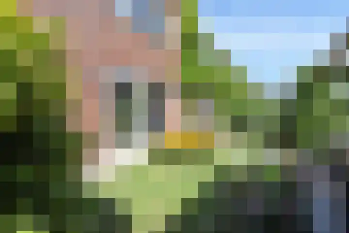 Juttepeer 35 Den Hoorn thumbnail 32