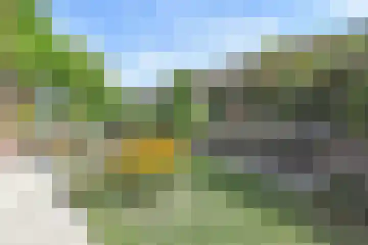Juttepeer 35 Den Hoorn thumbnail 33