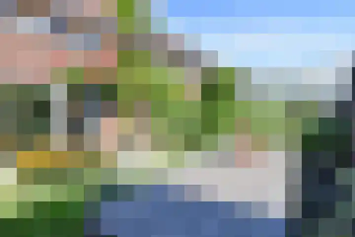 Juttepeer 35 Den Hoorn thumbnail 34
