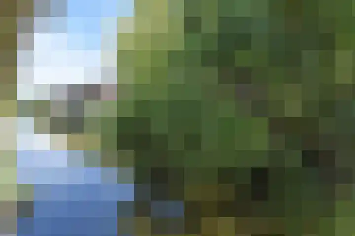 Juttepeer 35 Den Hoorn thumbnail 35