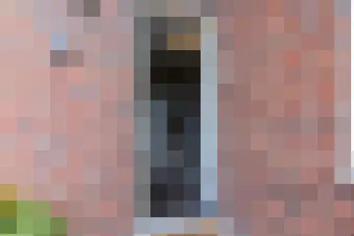 Juttepeer 35 Den Hoorn thumbnail 5