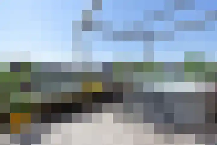 Juttepeer 35 Den Hoorn thumbnail 61