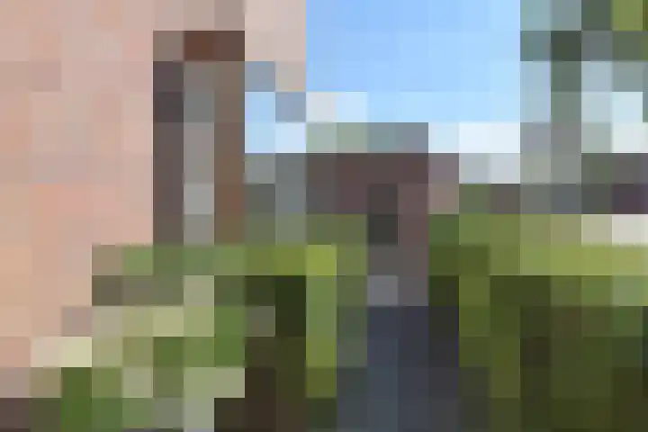 Juttepeer 35 Den Hoorn thumbnail 64