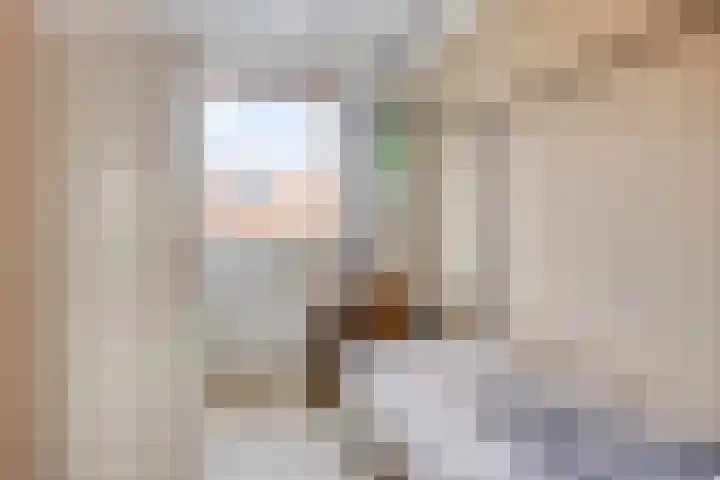 Juttepeer 39 Winkel thumbnail 14