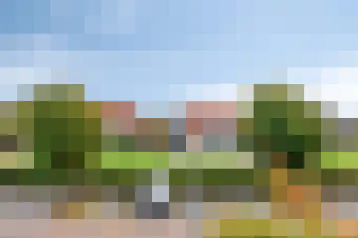 Juttepeer 39 Winkel thumbnail 21