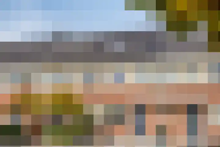 Juttepeer 39 Winkel thumbnail 26