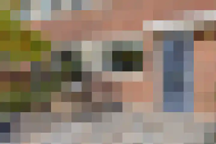 Juttepeer 39 Winkel thumbnail 31