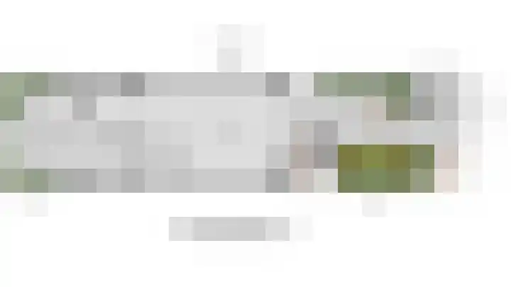 Juttepeer 42 Den Hoorn thumbnail 33