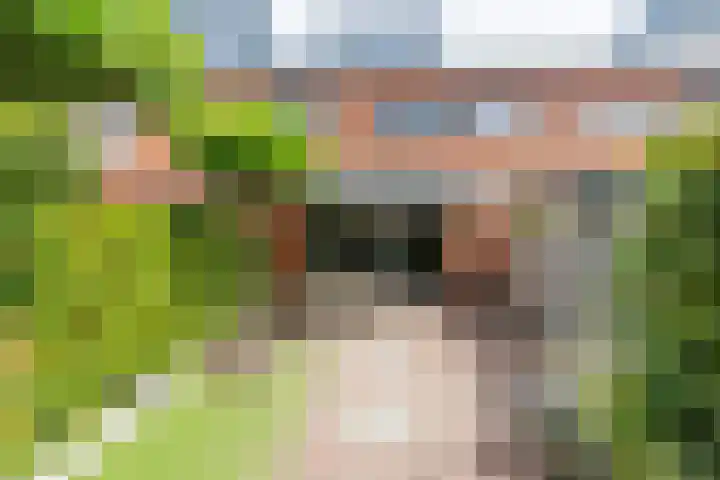 Juttepeer 42 Den Hoorn thumbnail 4