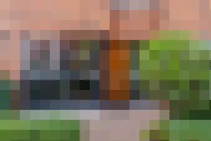 Juttepeer 42 Den Hoorn thumbnail 6