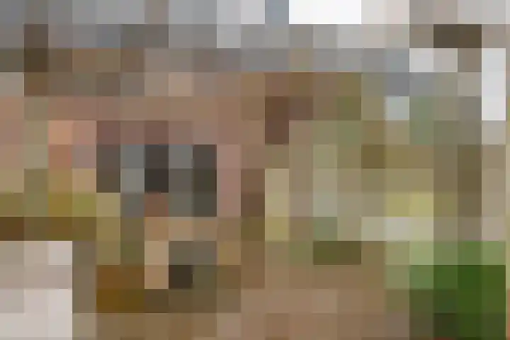 Juttepeer 7 Winkel thumbnail 19