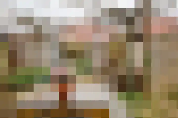 Juttepeer 7 Winkel thumbnail 20